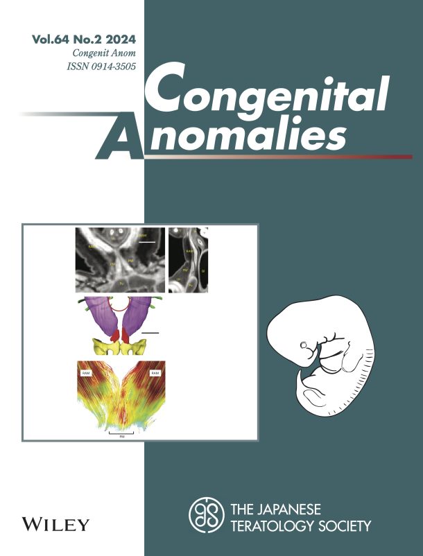 The pyramidal muscle (PM) is a paired small triangular muscle of the anterior abdominal wall. Its physiological significance is unclear. The present study used high-resolution MRI to determine when the PM emerged and revealed its features. The PM was first detected at Carnegie stage (CS)20 and in five of the seven samples between CS21 and CS23. 81.4% of samples during the early fetal period had PM on both the right and left sides. The frequency, side differences, sex dimorphism, and spatial position of the PM in the early fetal period were similar to those in adults.
FIGURE: Representative images of the PM (CRL: 58.7 mm). (A) T1W MR image. (B) 3D-reconstructed image showing the PM (red), rectus abdominis muscle (purple). (C) Diffusion tensor image showing the PM and rectus abdominis muscles. Further details can be seen in the article by Iwasa et al. in this issue.