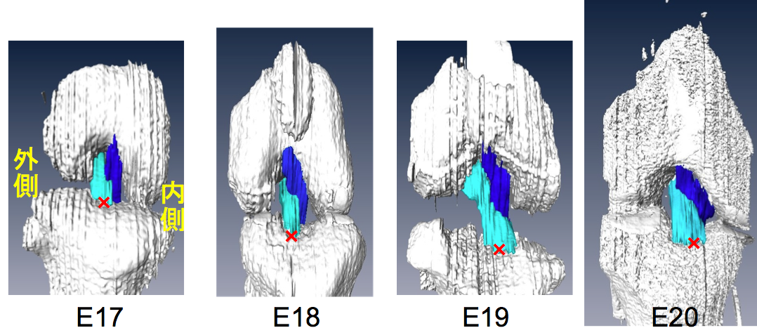張・高石・樋口君の論文が PlosOneに掲載