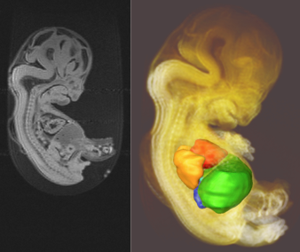 2013年度；修士論文概要 (金橋 徹）