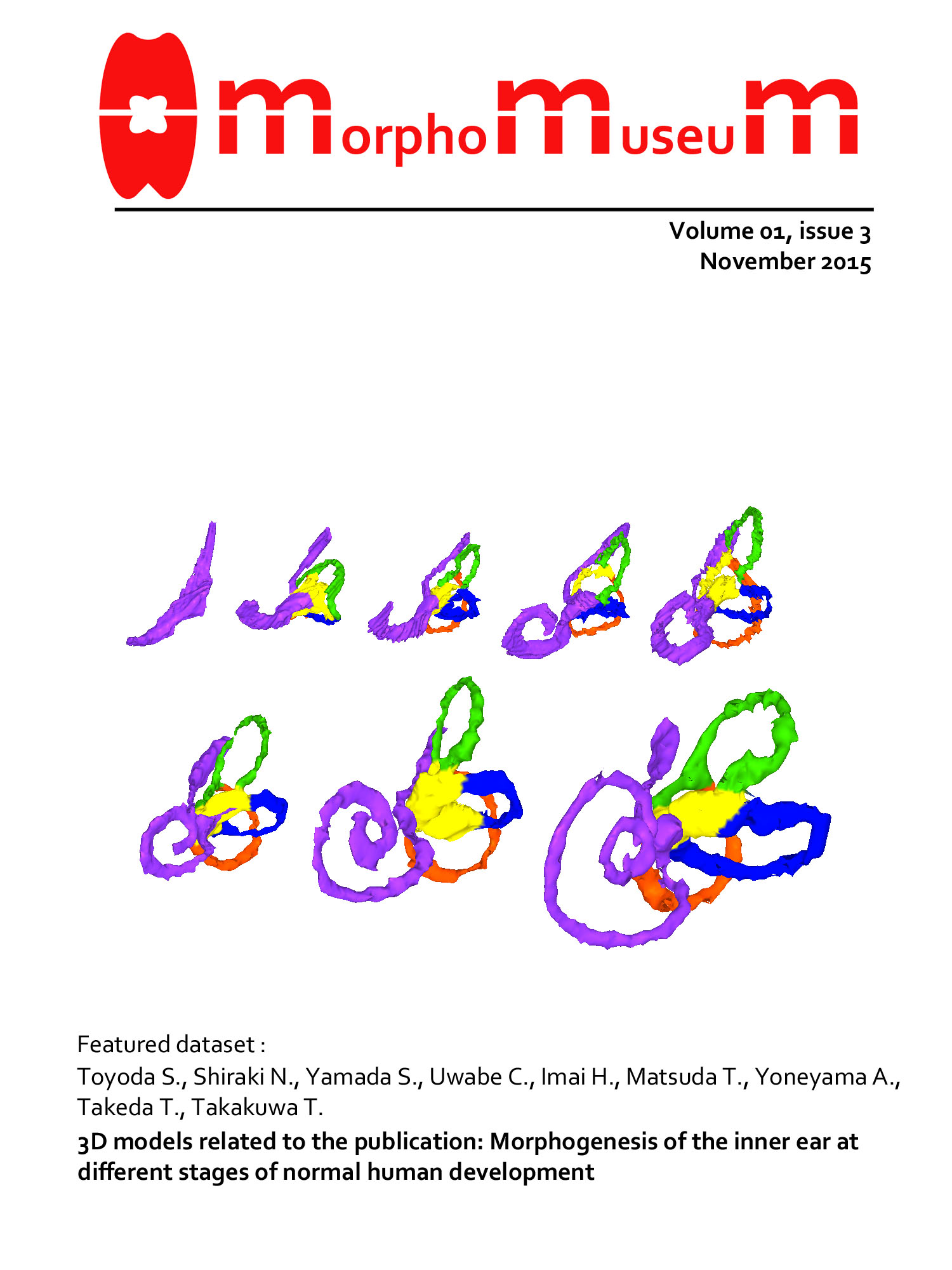 内耳・膜迷路の３D画像が MorphoMuseuMの表紙に採用