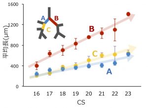 第60回日本先天異常学会で発表