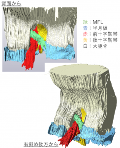 第25回日本基礎理学療法学会学術大会で発表