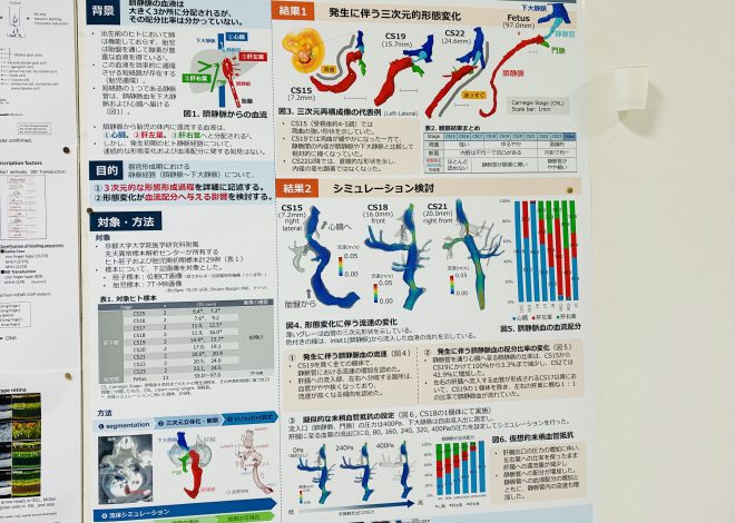 第131回日本解剖学会で発表しました