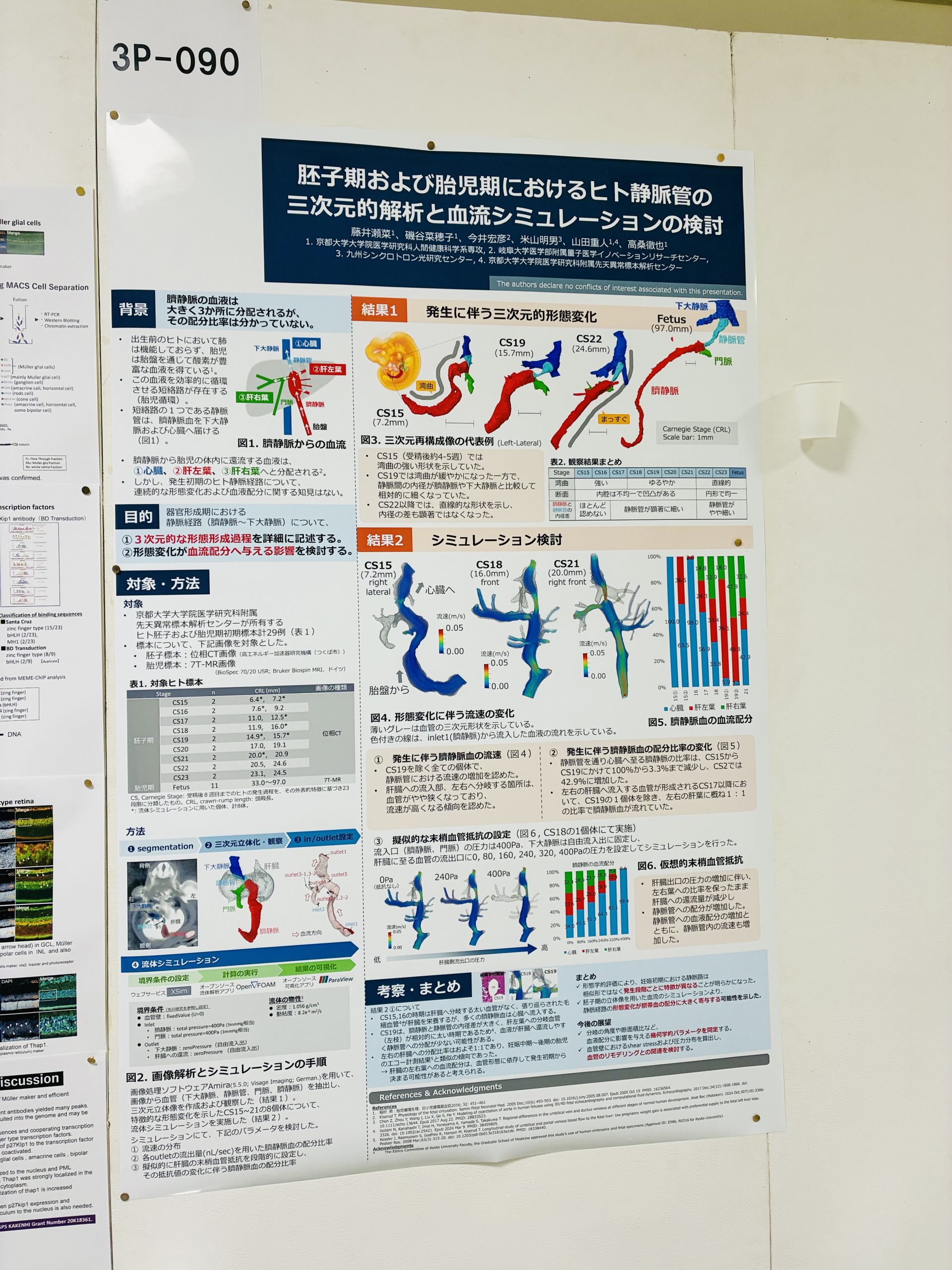 第131回日本解剖学会で発表しました