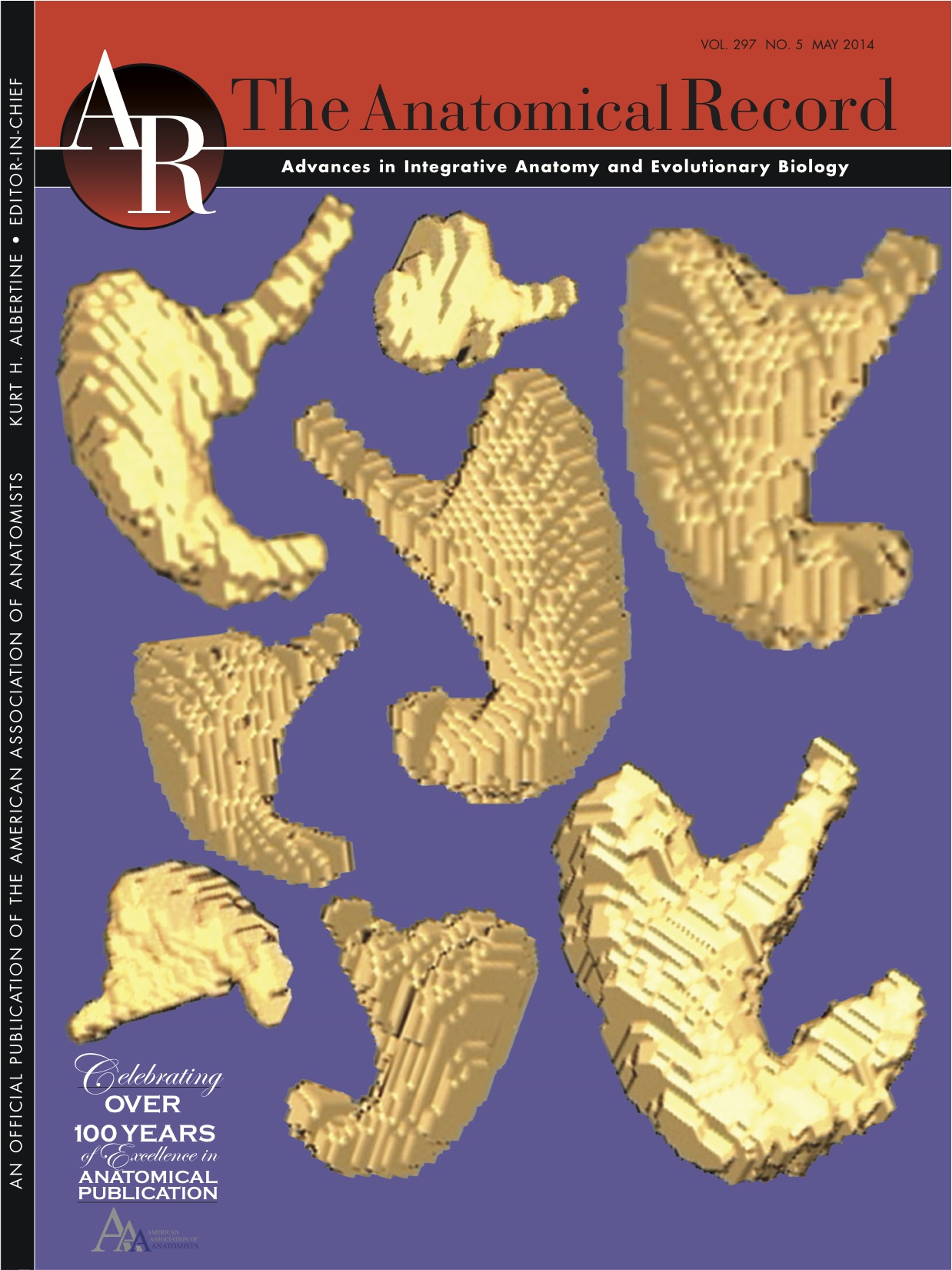 胃の立体像がAnat Recの表紙に採用