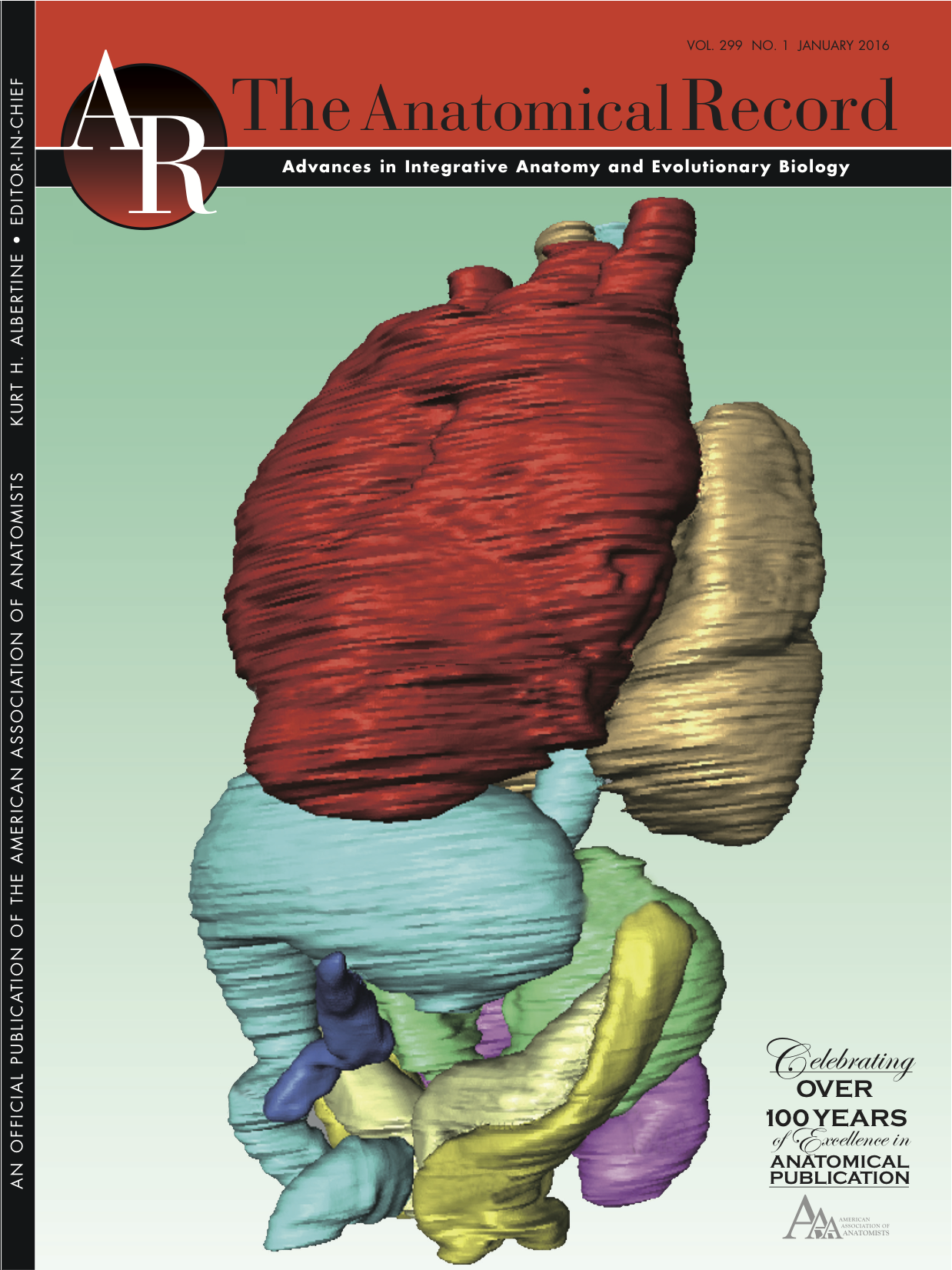 Anat Rec 299巻1号の表紙に肝形成不全例が採用