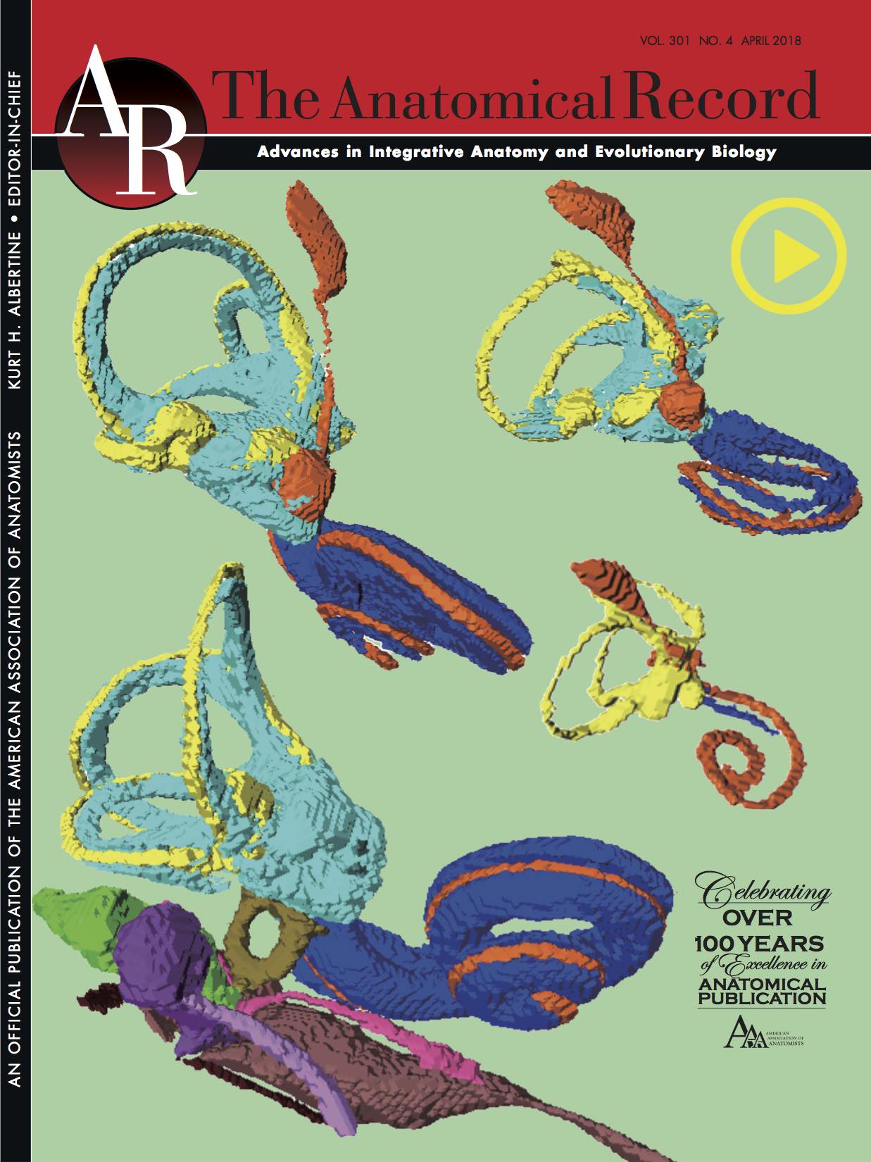 骨迷路のperiotic spaceの形成についてAnat Recに掲載