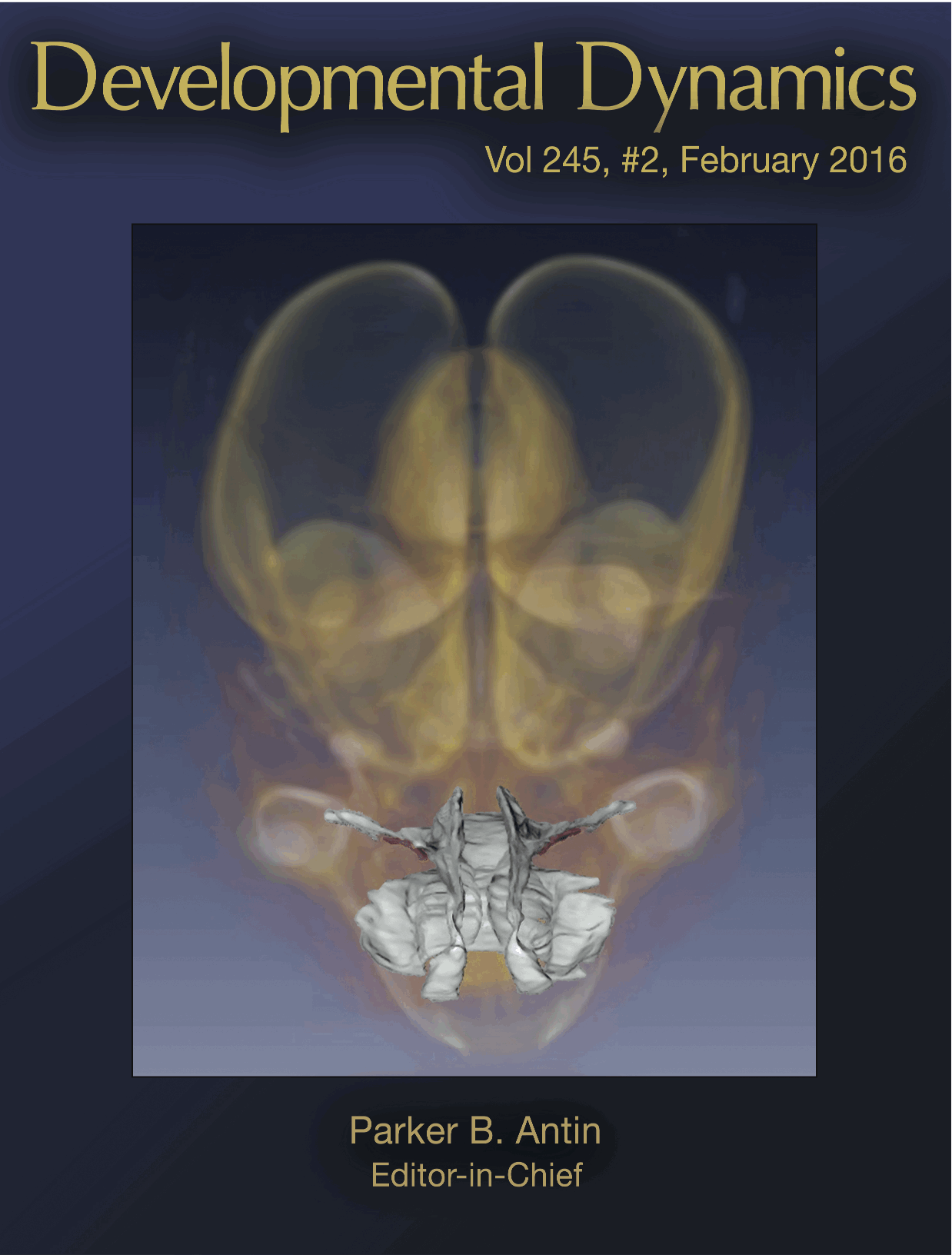 金橋君の描いた図がDevelopmental Dynamicsの表紙に採用