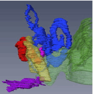 尾関さんの修論がAnat Recに掲載