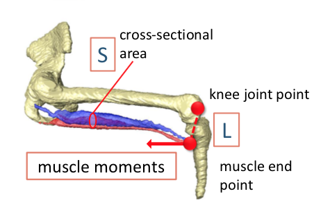 IFAA2022で発表しました