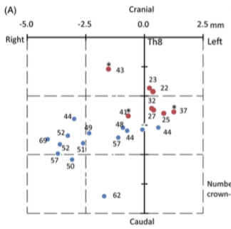 長田さん、八田くんの卒研がCongenital Anomaliesに掲載(2)