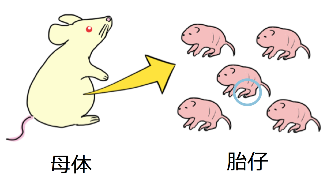 2022年度修士論文発表会が行われました