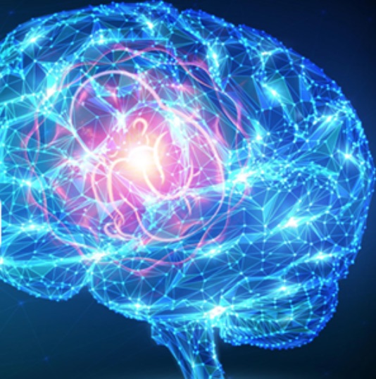 生理研研究会2022で講演しました