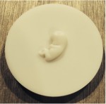 日本科学未来館に胚子データを提供