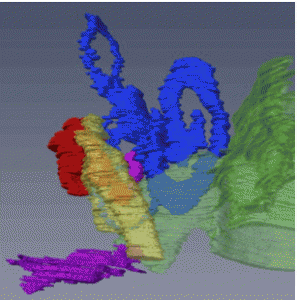 2014年度;修士論文概要 (尾関）