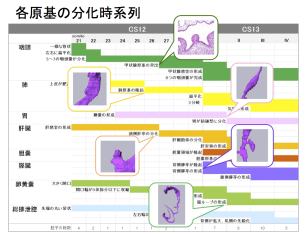 2014年度;修士論文概要 (上野）
