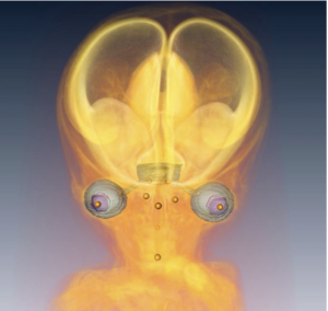 2015年度; 修士論文概要(大坂)