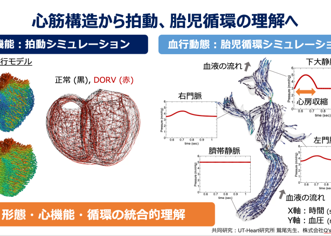 第62回 日本小児循環器学会総で発表