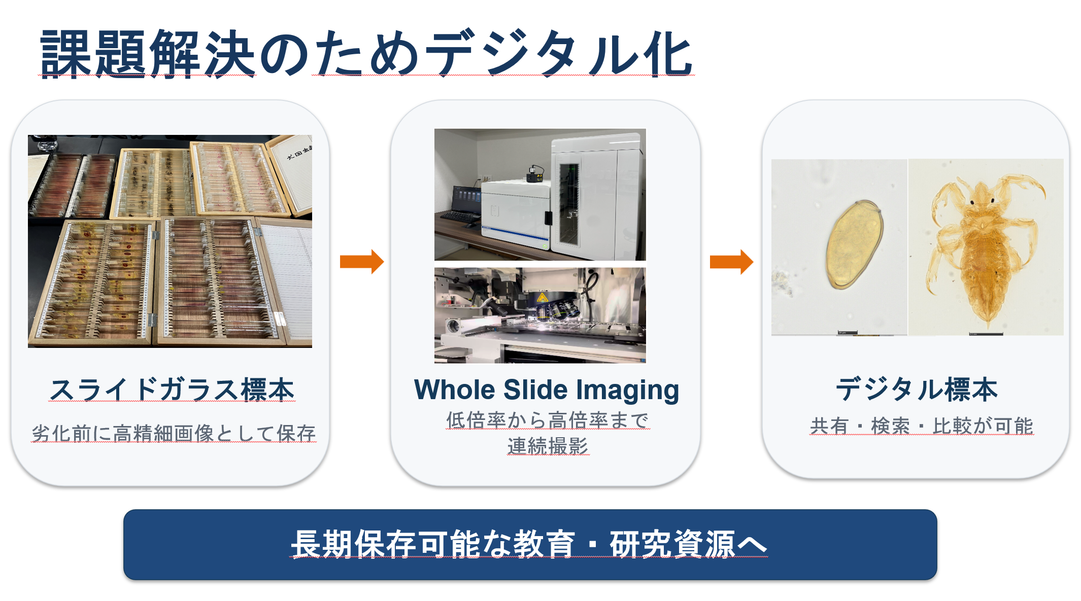 第20回臨床検査学教育学会で発表しました